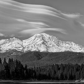 Lenticular Layers in Black and White by Loree Johnson