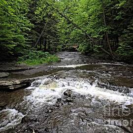 Letchworth State Park Wolf Creek Clear Day Abstract by Rose Santuci-Sofranko