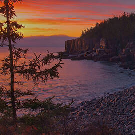Light At Dawn Over Otter Cliffs by Stephen Vecchiotti