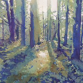 Light in the Forest  by Jenny Armitage