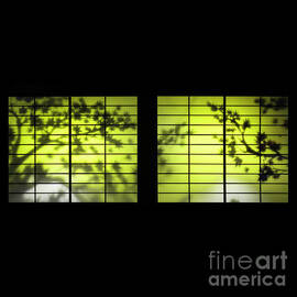 Light Of Your Windows by Evelina Kremsdorf