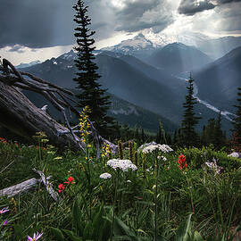 Light Rays Over Rainier by Trevor Parker