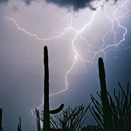 Lightning Up The Desert by Douglas Taylor