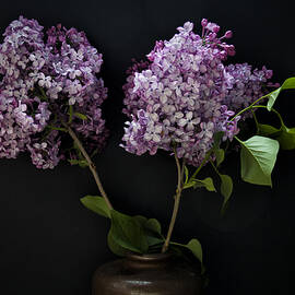 Lilac in brown earthenware vase 2 by Western Exposure