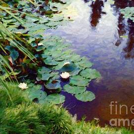 Lily pads and pond by Ann Pride