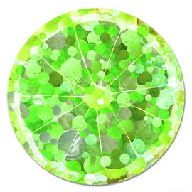 Lime Slice Green Citrus Fruit Art by Sharon Cummings