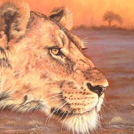 Lioness Stalking by Karen Wharton