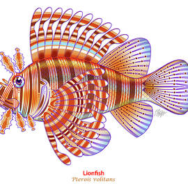 Lionfish Natural History by Tim Phelps