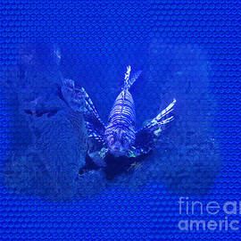 Lionfish on Blue Hexagonal Bubblewrap Pattern by Michael Cotto