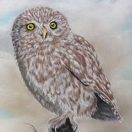 LITTLE OWL 1086 pastels by Dreamz -