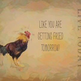Live Today Fried Tomorrow by Norma Brandsberg