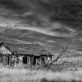 Llano Estacado Homestead by Stephen Stookey