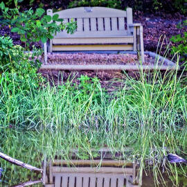 Locust Cove Bench by Brian Wallace