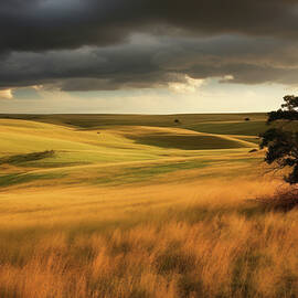 Lone tree in a field of tall grass by Wildscape Creations