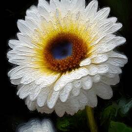 White Gerbera Flower by Anas Afash
