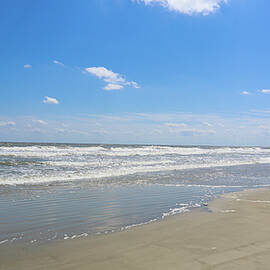 Long Look Cumberland Island Beach by Ed Williams