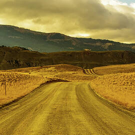 Long Winding road in Yellowstone  by Jeff Swan