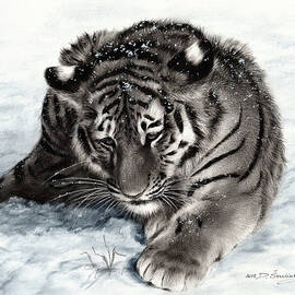 Tiger Cub Oil Painting  by Danguole Serstinskaja