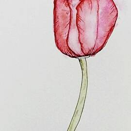 Loose Tulip by Terry Feather