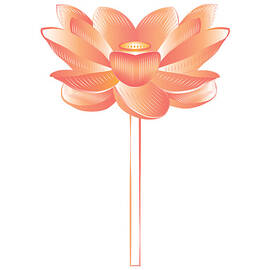 Lotus Flower  by Judy Gaddis