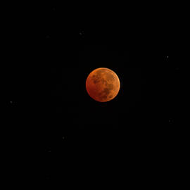 Lunar Eclipse causing a red Moon by Brigitta Diaz