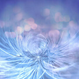 Magical Dandelion by Terry Davis