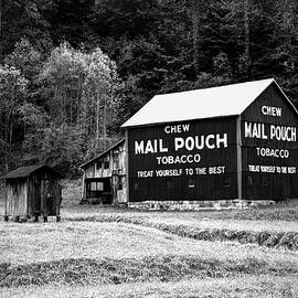 Mail Pouch by Elizabeth Pennington