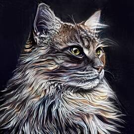 Maine Coon Portrait by HH Photography of Florida
