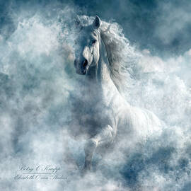 Majestic White Horse in Stormy Waves by Betsy Knapp