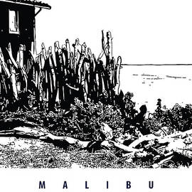 Malibu, California, Driftwood Fence by Long Shot