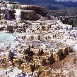 Mammoth Hot Springs Yellowstone National Park Wyoming by Robert Ford
