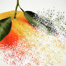 Mandarin colours by Al Fio Bonina