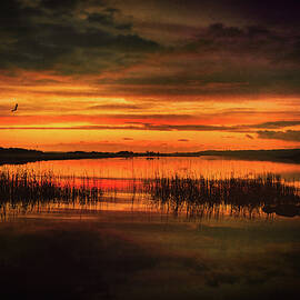 Marsh Sunset by Susan Maxwell Schmidt