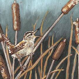 Marsh Wren Singing by VLee Watson