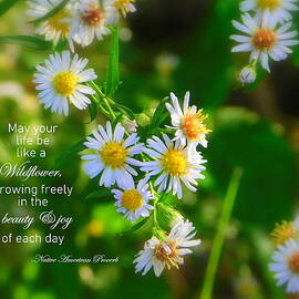 May Your Life be Like a Wildflower by Karen Cook