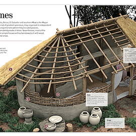 Maya homes by Album