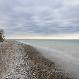 McLaughlin Bay Wildlife Reserve, Ontario 2