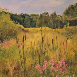 Meadow of Cattails and Loosestrife