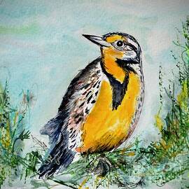 Meadowlark  by Patty Donoghue