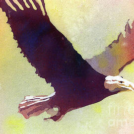 'Merican Eagle by Ryan Fox