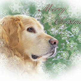 Merry Christmas Golden Retriever by Jennie Marie Schell