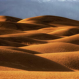 Mesquite Flat Sand Dune Gold Wave by Alinna Lee