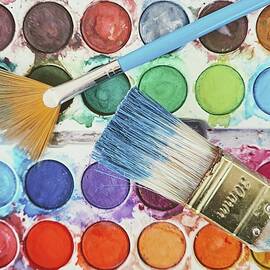 Messy watercolor paint palette by Lucia Waterson