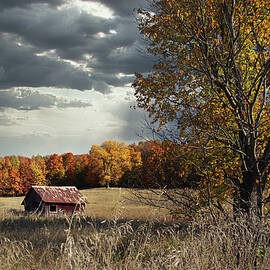 Michigan Countryside by Karen Varnas