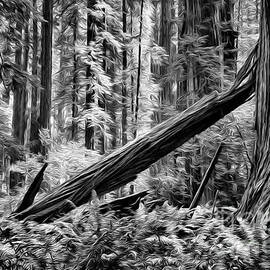 Mighty Redwoods 1 by Bob Christopher