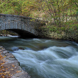 Minnehaha Creek by Paul Freidlund