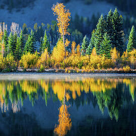 Mirror Images by Jon Snyder