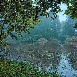 Mist on creek  #mo by Leif Sohlman