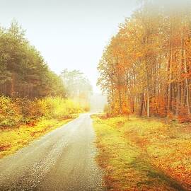 Misty Autumn Afternoon by Slawek Aniol