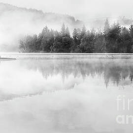  Misty Morning, Loch Ard     by Janet Burdon